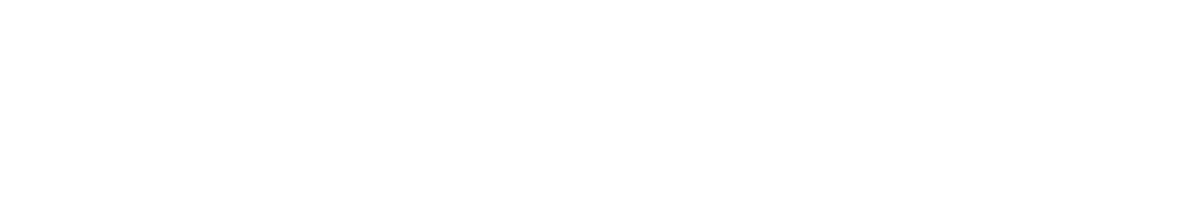 N0B0T logo
